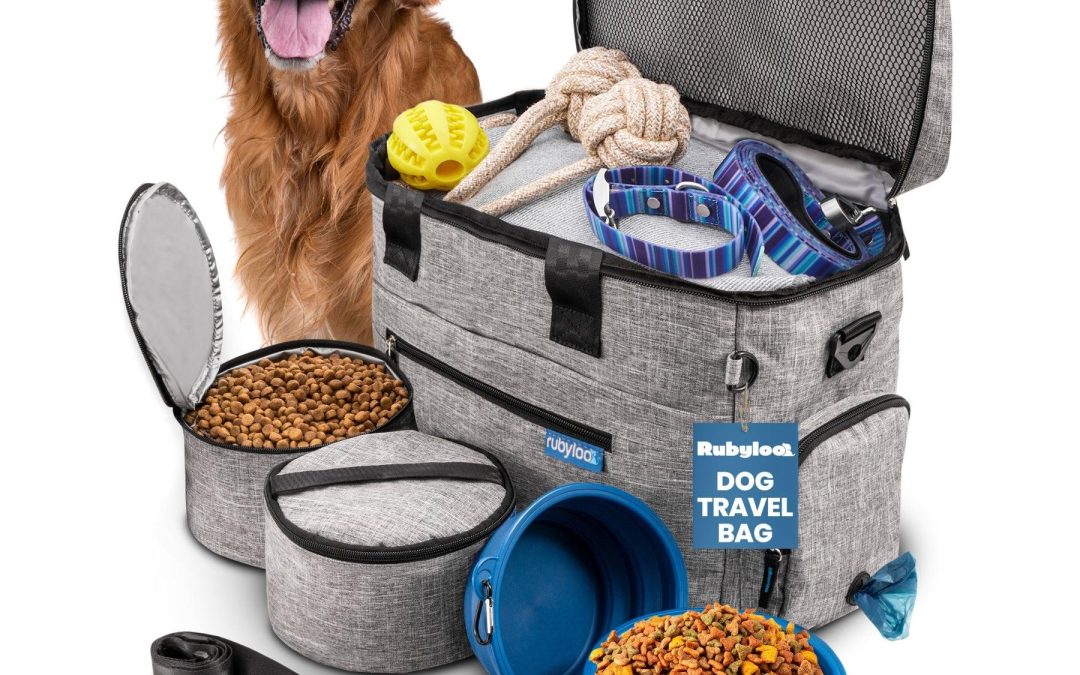 Essential Items to Prepare Before Traveling With Your Pet